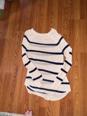 True Craft Cream and Navy Striped Crewneck Sweater
